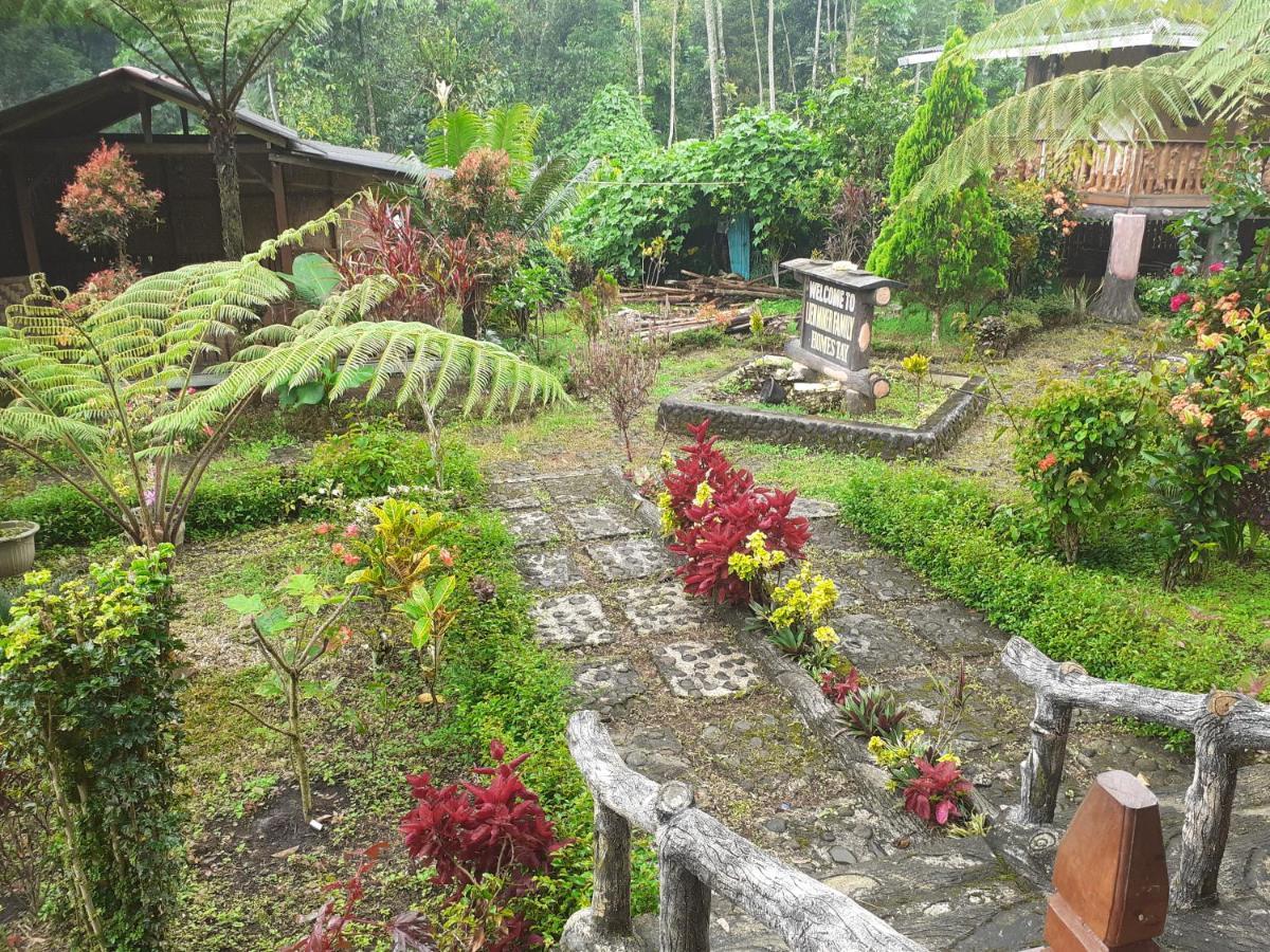Ijen Miner Family Homestay Banyuwangi  Kültér fotó