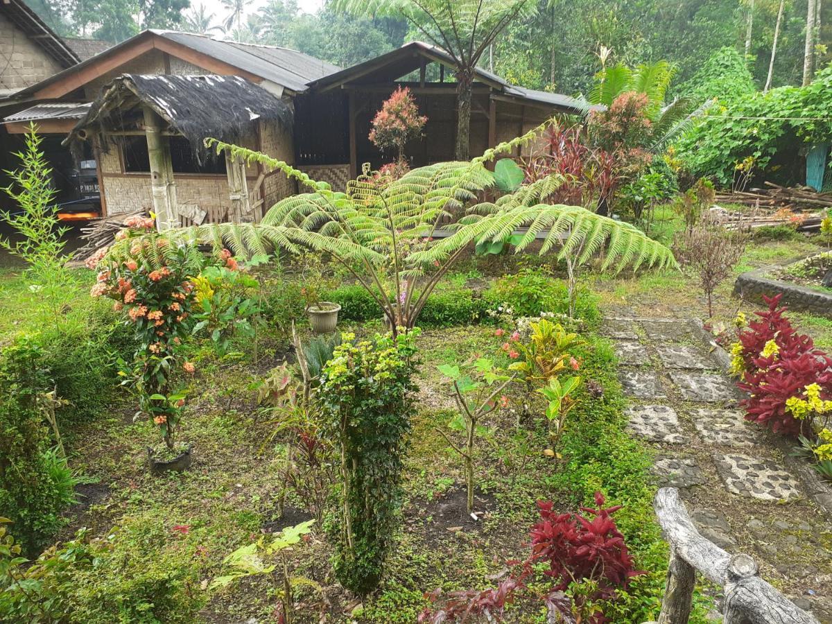 Ijen Miner Family Homestay Banyuwangi  Kültér fotó
